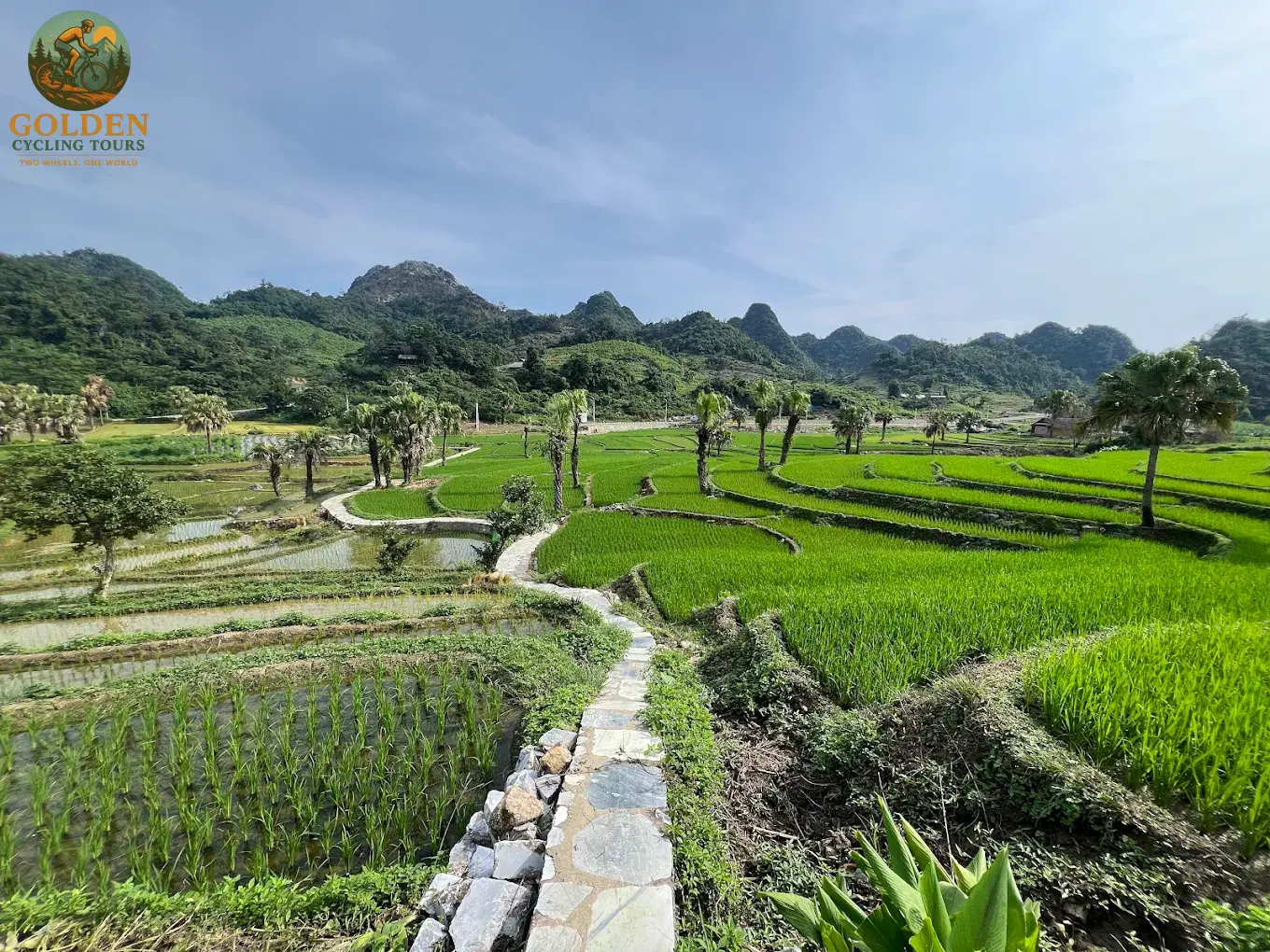 3-Day Thai Nguyen Backroad Cycling Tour: Ban Ten, Tea Hills & Nui Coc